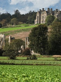 High Res bayham abbey walk cycle countryside view ruin family picnic couples hodgkinson09.jpg