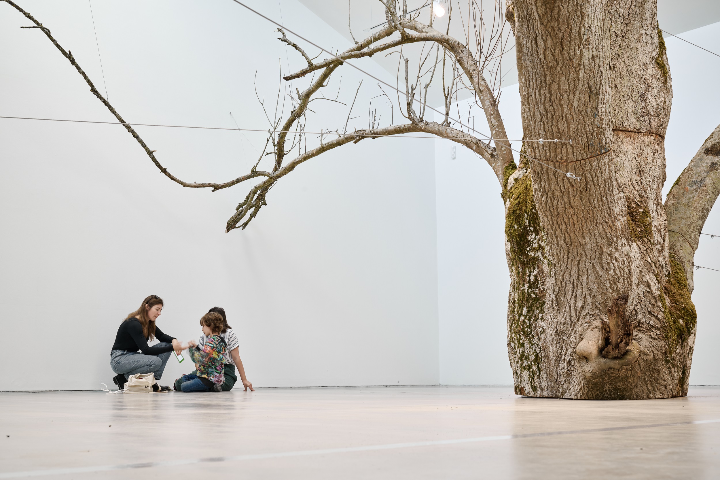 Sj Turner Anyag 290924 0129