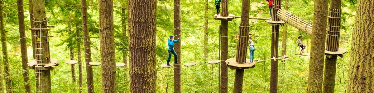 go-ape-2.jpg