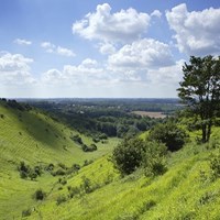 North Downs Way DevilsKneading Trough Med (c).jpg