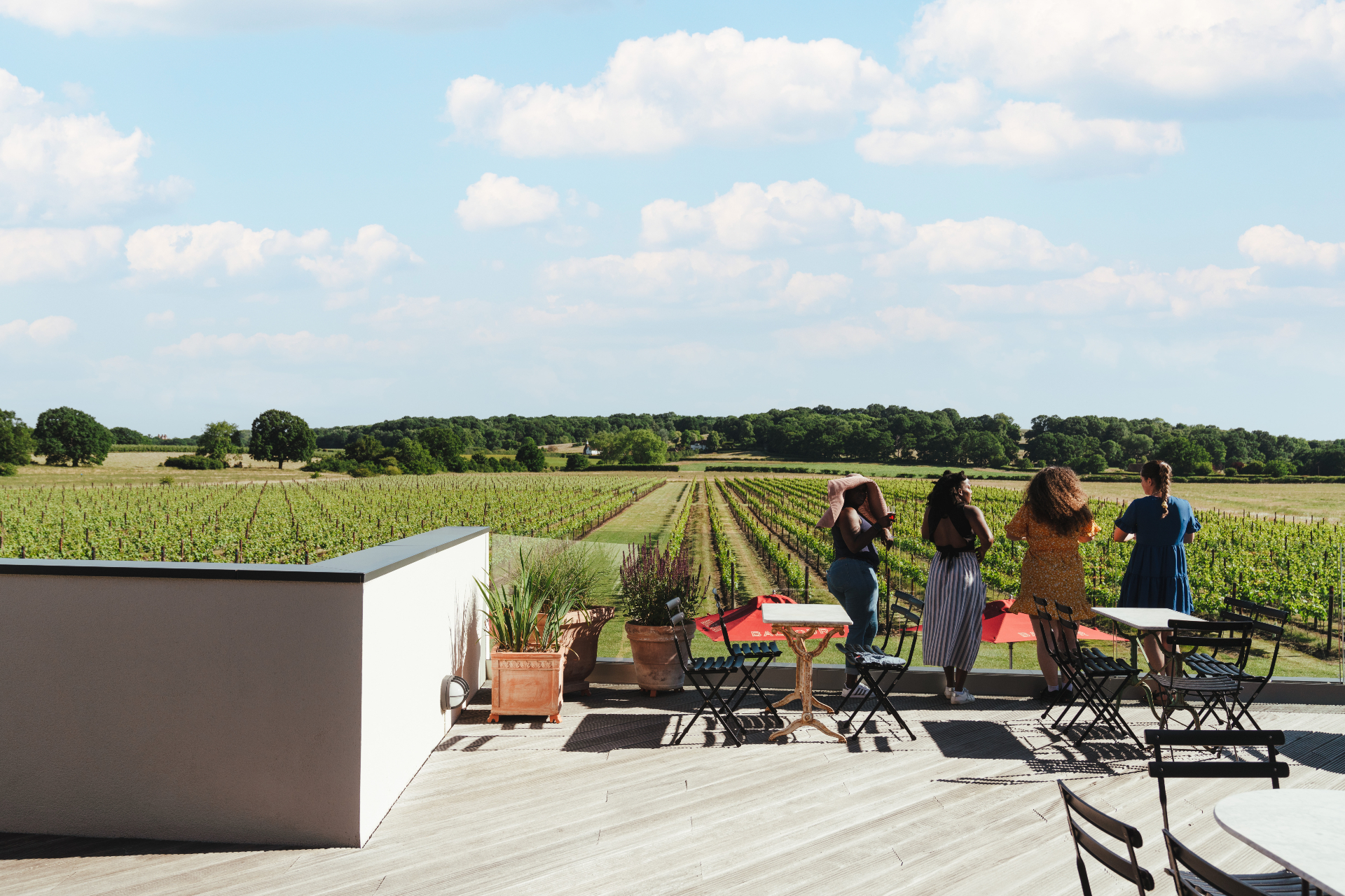 Summer Dining Club 45